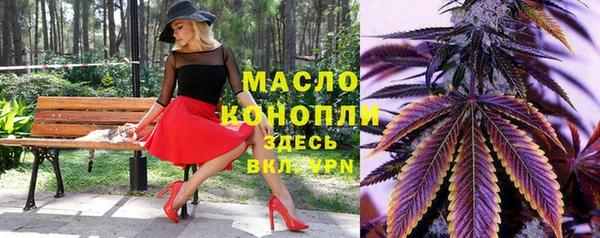 индика Богородск