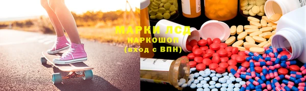 гидра Богданович