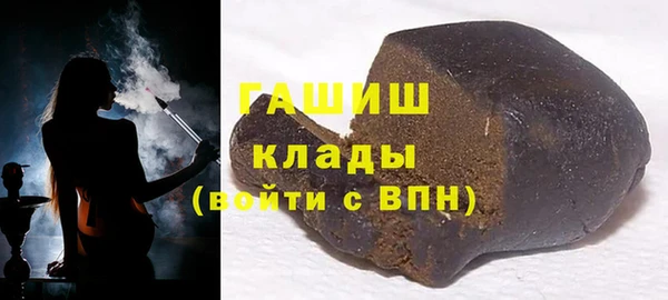 гидра Богданович