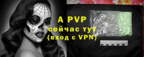 индика Богородск