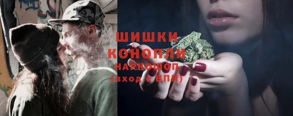 индика Богородск