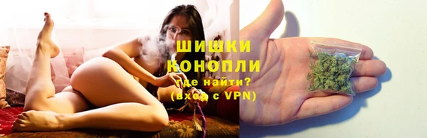 индика Пересвет