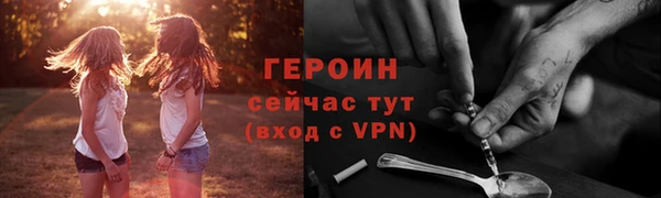 гидра Богданович