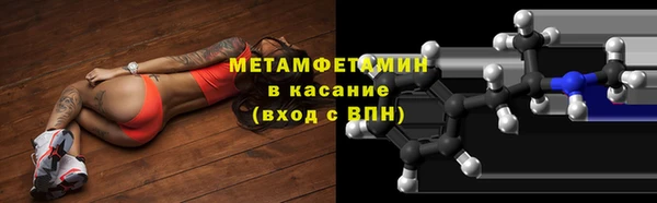 гидра Богданович