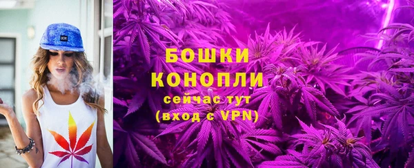 гидра Богданович