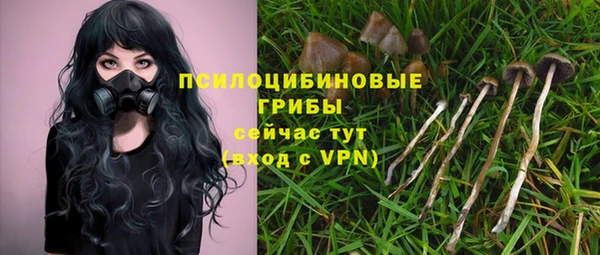индика Богородск