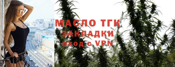 индика Богородск