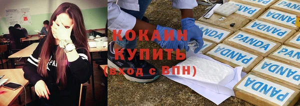 гидра Богданович