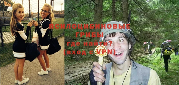 индика Пересвет