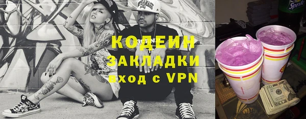 гидра Богданович