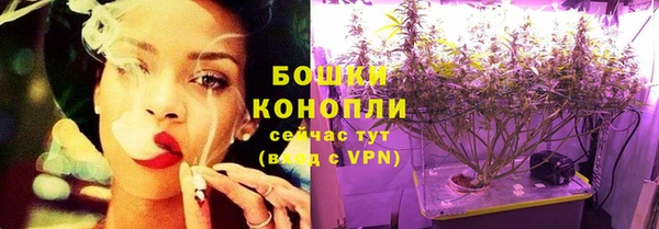 индика Богородск
