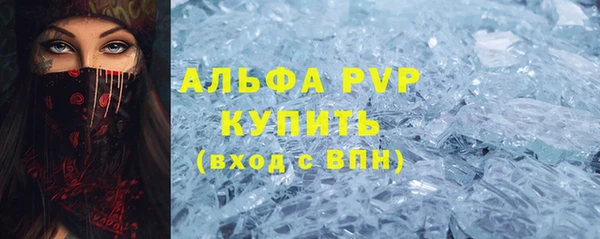 индика Богородск