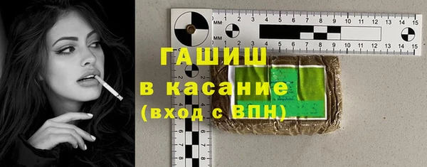 индика Богородск