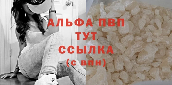 индика Богородск