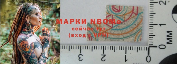 гидра Богданович